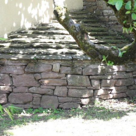 Gite L'Oustal Occitan A Saint-Juery المظهر الخارجي الصورة