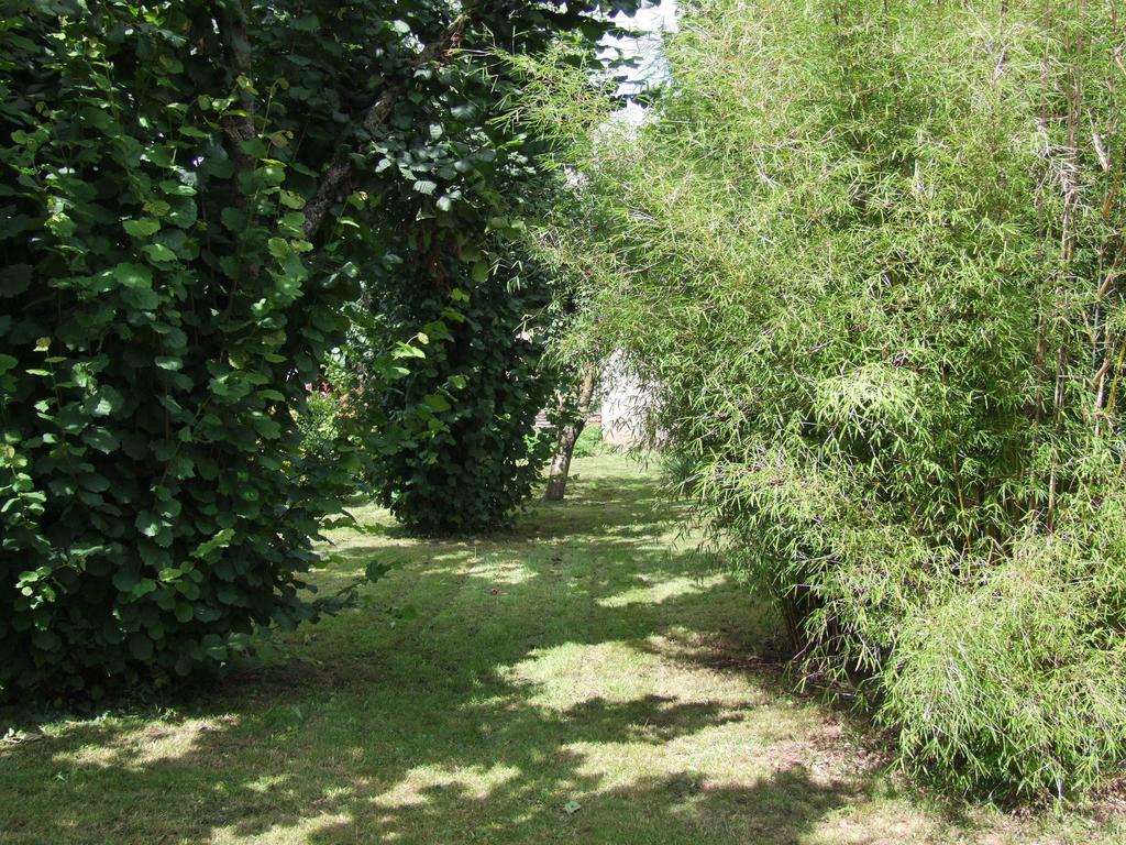 Gite L'Oustal Occitan A Saint-Juery الغرفة الصورة